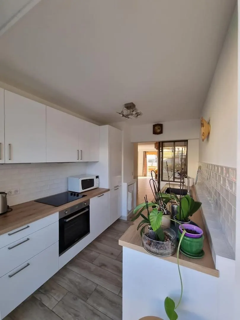 Magnifique T3, Spacieux, Lumineux Et Traversant Nice Apartment